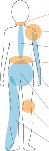人体イラスト