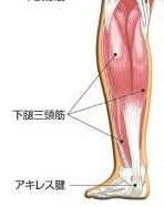 アキレス腱② syuusei