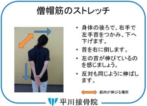 ストレッチ