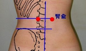 E8858EE68489-thumbnail2