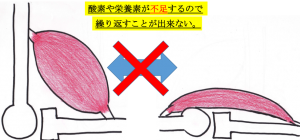 ブログ2