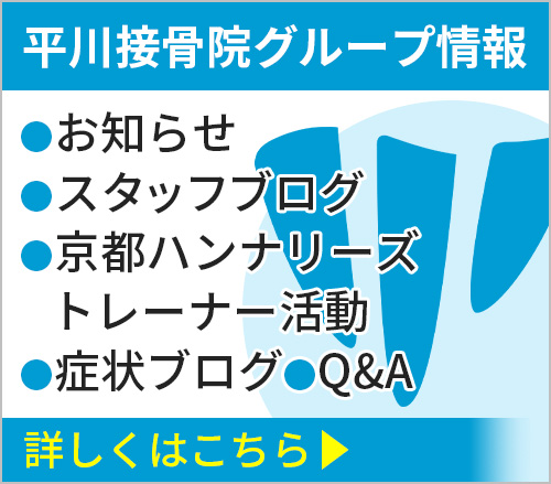 平川接骨院グループ情報