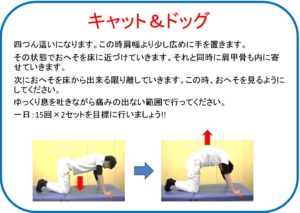 トレーニング