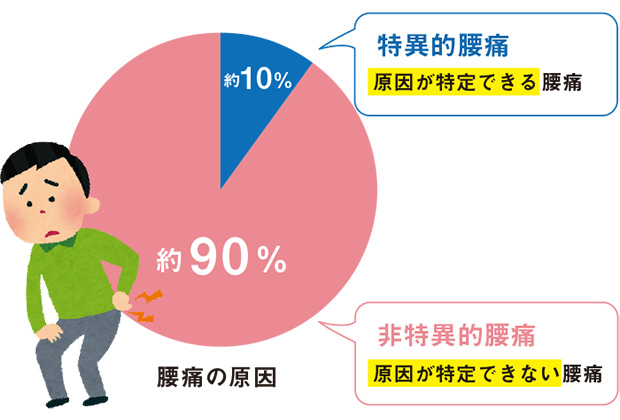 腰痛の原因割合