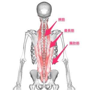 image-21
