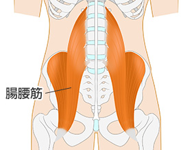 腸腰筋が原因の腰痛 | 京都平川接骨院／鍼灸治療院グループ