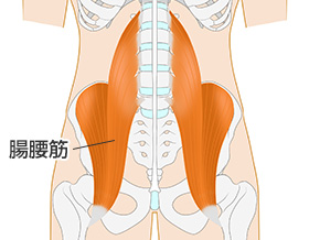 腰 の 痛み 後ろ 左