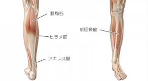 img_sprain_cntns1_02